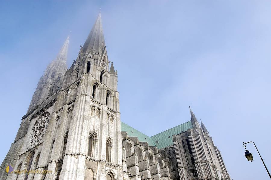 Nom de l'image : D1107475-nef-01_(c)Norbert-JUNG — Description :